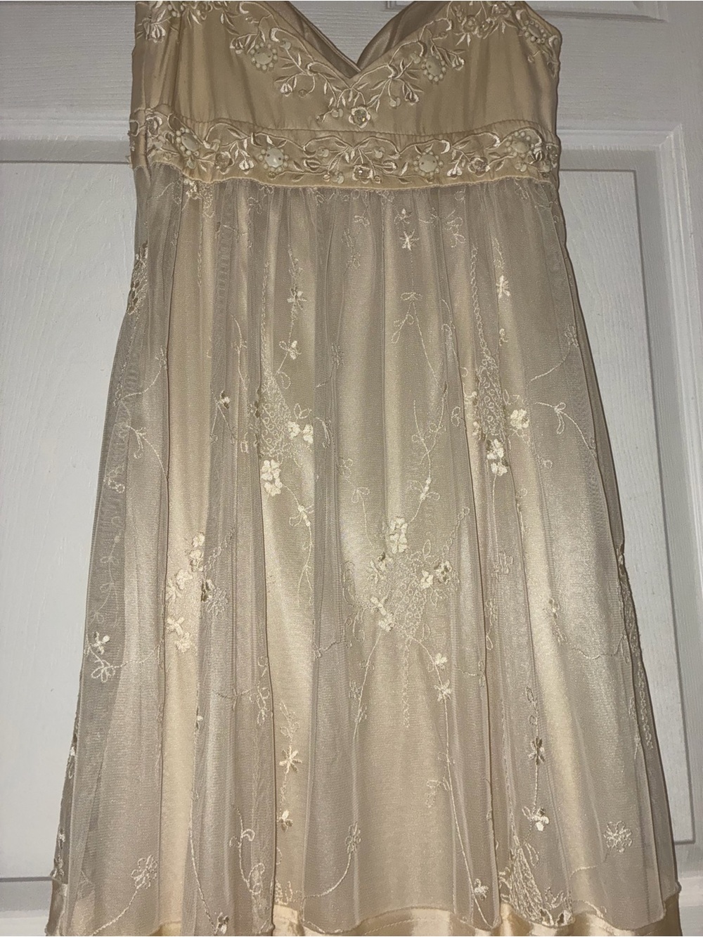 Sue Wong Embellished Champagne Mesh Embroidered Slip Dress - Picture 9 of 13